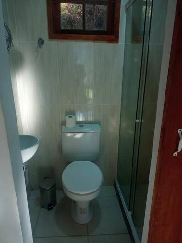 a small bathroom with a toilet and a shower at Chalé no Sana - Equilíbrio e Descanso in Sana