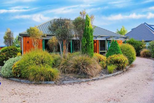 a house with a lot of plants in front of it at Popular Family and Pet friendly Modern Cosy Bach WiFi in Hanmer Springs
