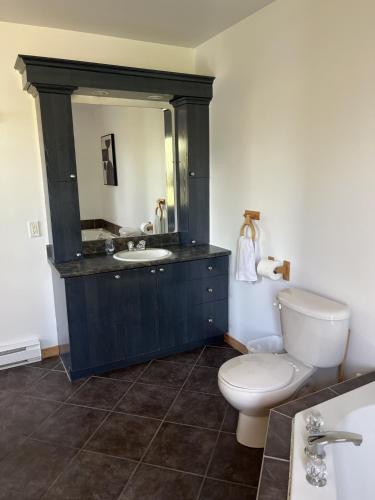 a bathroom with a toilet and a sink at Chalet spa rivière saint Maurice in Grandes-Piles