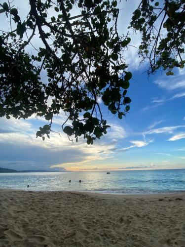 a view of a beach with people swimming in the water at Wabi Sabi Hana in Punta Uva