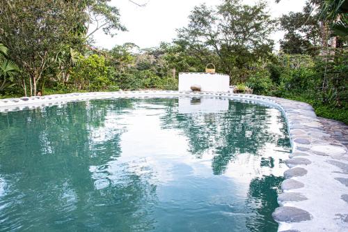 a swimming pool in a yard with trees at Lodge France Amazonia in Puerto Misahuallí