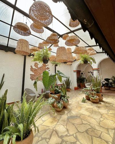 a room with a bunch of potted plants and umbrellas at Hotel Neutro in San Cristóbal de Las Casas