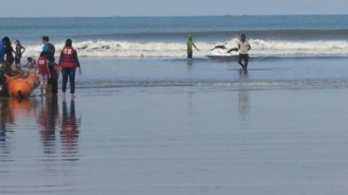 a group of people standing on the beach at Tendulkar Beach Resort in Diveagar
