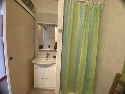 une salle de bain avec un lavabo et un rideau de douche dans l'établissement Mini-studio à 5min des thermes avec Wifi - FR-1-503-176, à Balaruc-les-Bains