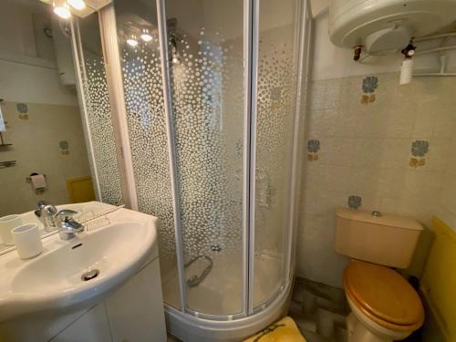 une salle de bain avec une douche, des toilettes et un lavabo dans l'établissement Appartement cosy avec balcon et climatisation à Balaruc-les-Bains - FR-1-503-179, à Balaruc-les-Bains