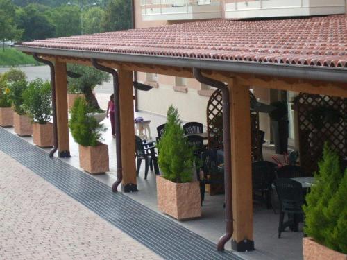 a patio with potted plants on a building at Residence Hotel Matilde in Carpineti