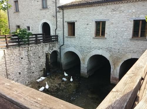 Φωτογραφία από το άλμπουμ του Albergo Diffuso La Piana dei Mulini σε Colledanchise