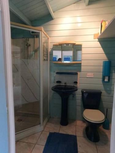 a bathroom with a shower and a toilet and a sink at Island Relax Retreat in Willemstad