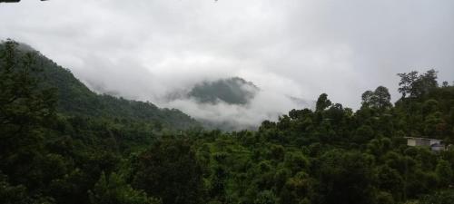 a mountain shrouded in clouds in a forest at Experto The Greens in Nainital