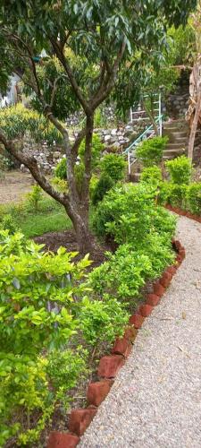 a tree in the middle of a garden at Experto The Greens in Nainital