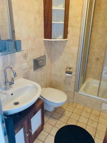 a bathroom with a sink and a toilet and a shower at Traumferienwohnung222 in Neustadt in Holstein
