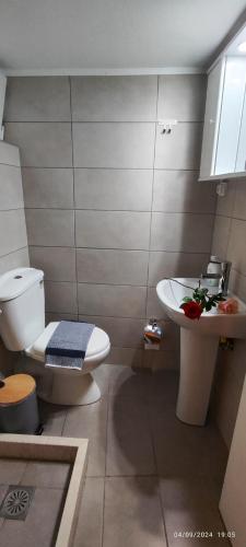 Siesta Luxury Apartment photo 3