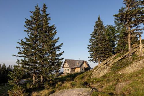 una casa en la cima de una colina con árboles en Garanashütte, en Schwanberg