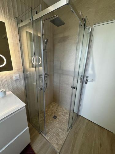 a shower with a glass door in a bathroom at Maison de vacances in Le Teich