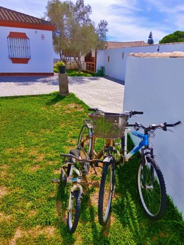two bikes parked in the grass next to a building at Chalet Mari Carmen in Chiclana de la Frontera