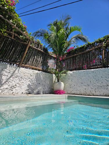 Mbaliparadise Guest Lodge PEMBA