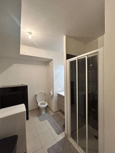 une salle de bain avec toilettes et douche en verre dans l'établissement Studio équipé, gare à 3km entre Versailles et SQY, à Guyancourt