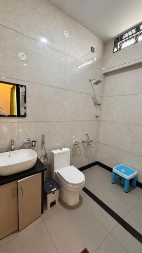 a bathroom with a white toilet and a sink at Arjun Homestay in Hampi