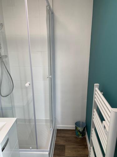 a shower with a glass door in a bathroom at Le Botanique à 250m de la gare,15 min de Lille in Tourcoing