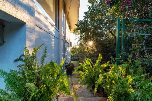 a garden with plants next to a building at SaffronStays Horizon 360, A Short Walk From Venna Lake and Mahabaleshwar Market in Mahabaleshwar