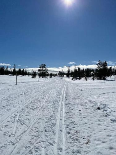 a snowy field with ski tracks in the snow at Delikat tømmerhytte på Blefjell in Flesberg