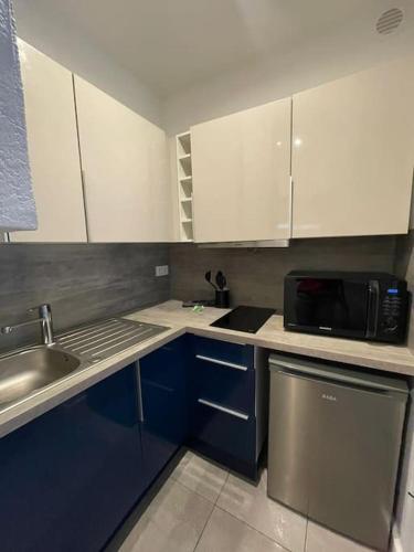 une petite cuisine avec un évier et un micro-ondes dans l'établissement Jungle appart, à Nice