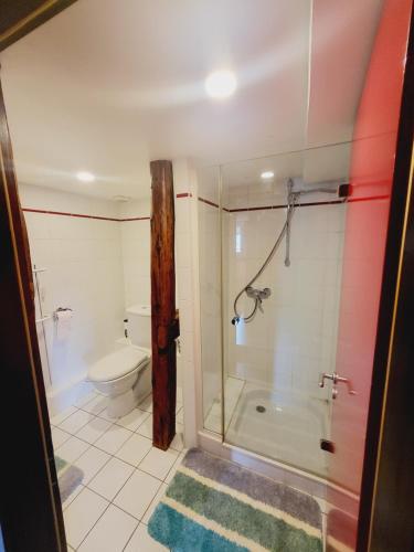 une salle de bain avec douche et toilettes dans l'établissement MAISON ALSACIENNE de CHARME, à Eckwersheim