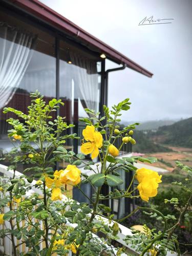a bush with yellow flowers in front of a house at Tuyên Chiến Home & Resort in Ấp An Kroët