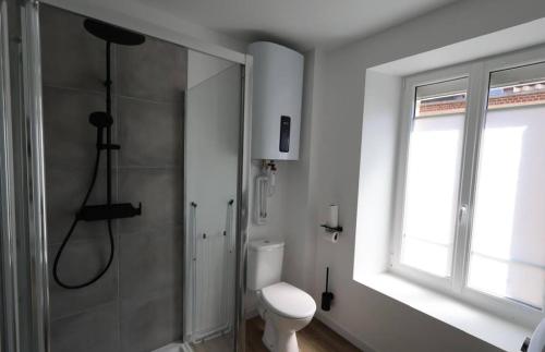 a bathroom with a shower and a toilet and a window at Le Chardonnay in Chouilly