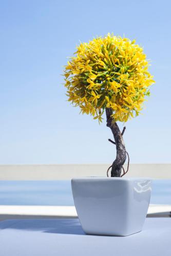 a small yellow plant in a white bowl on a table at Hotel Villa Felice Relais in Amalfi