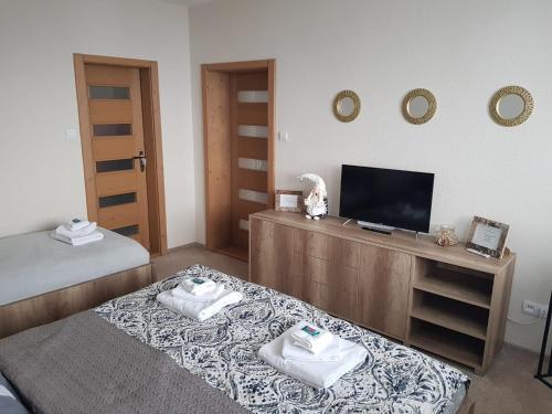a living room with two beds and a television at Oli apartments Telgárt in Telgárt
