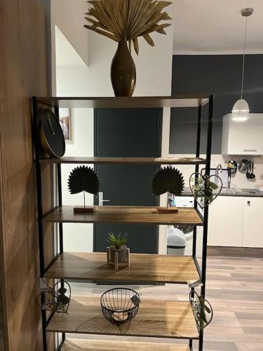 une étagère avec des plantes en pot dans une pièce dans l'établissement le petit Marseillais, à Marseille