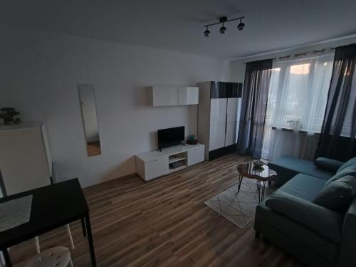 Televízia a/alebo spoločenská miestnosť v ubytovaní Elli apartament