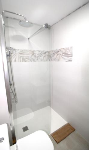 Meduza Dos
