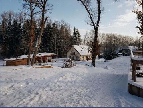 a snow covered yard with a house and trees at Ferienwohnungen & Landlust Fulda in Petersberg