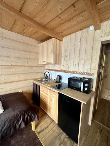 a kitchen with a sink and a microwave in a cabin at Willa Pod Orłem Jacuzzi Sauna in Kościelisko