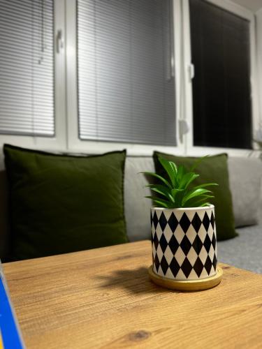 a plant in a black and white pot sitting on a table at NOA Luxury Apartment in Bitola