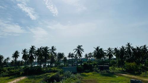 a group of palm trees in a field with a sky at Auro studio home in Pūrnānkuppam