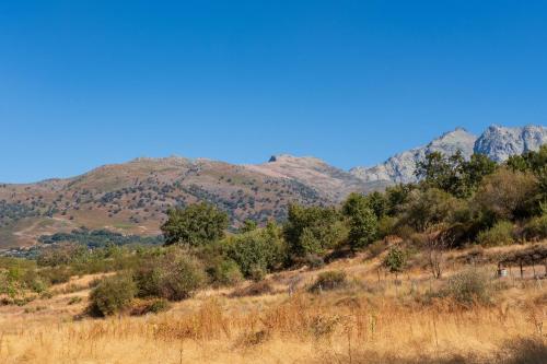 a hillside with trees and mountains in the background at Amaltea in Candeleda