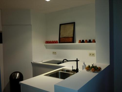 ブリュッセルにあるSignature Designers Appartmentのキッチン(シンク、カウンタートップ付)