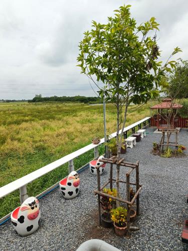 Taman di luar I miss you โฮมสเตย์อยุธยา
