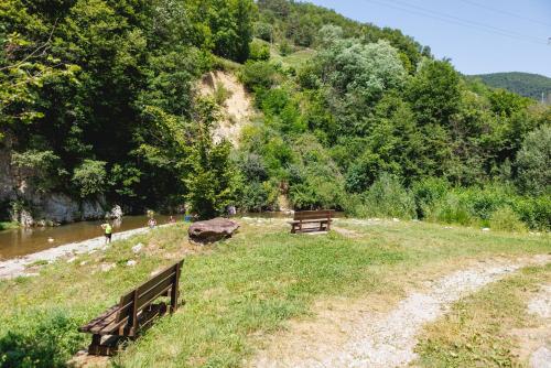 two benches in a field next to a river at SantPauLux in Sant Pau de Seguries