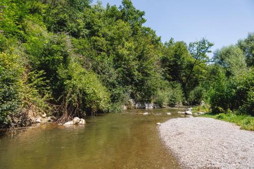 a river with trees on the side of it at SantPauLux in Sant Pau de Seguries