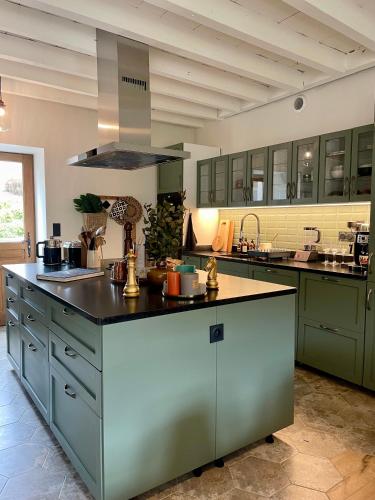 une grande cuisine avec des armoires vertes et un grand îlot dans l'établissement La Maison de la Pépée by Longo Mai - Maison 6/8 personnes, à Groslée