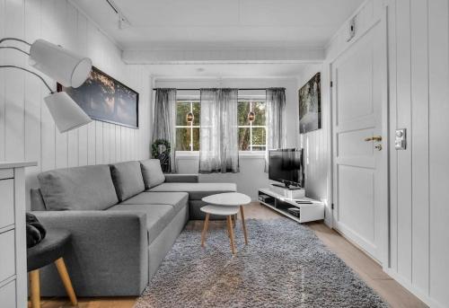 Una sala de estar con un sofá y un televisor. en Cozy apartment close to city, en Hjorten