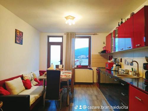 a kitchen and living room with a couch and a table at Cazare Haiducita Bran in Zărneşti
