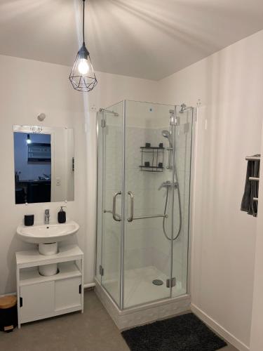 une salle de bain avec une douche en verre et un lavabo dans l'établissement Appartement proche de Paris et sa périphérie CDG JO2024 Disneyland, au Blanc-Mesnil