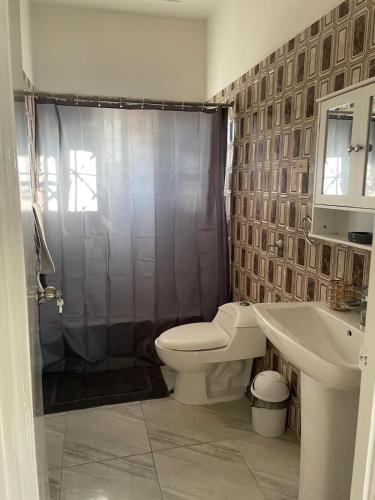 a bathroom with a toilet and a shower and a sink at D & M home away from home in Lennansville
