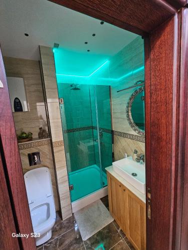 a bathroom with a shower and a toilet and a sink at Gold Studio in Kragujevac
