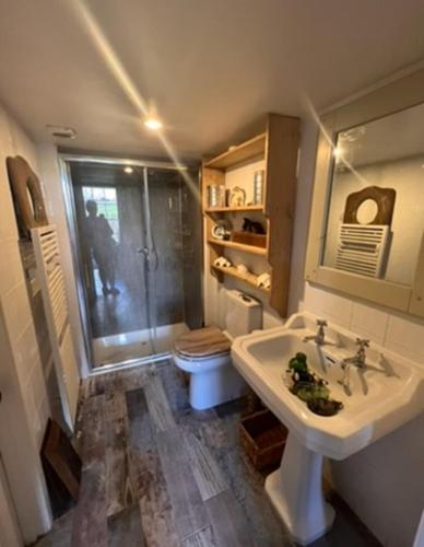 a bathroom with a sink and a toilet at The Old Rectory in Stewartstown